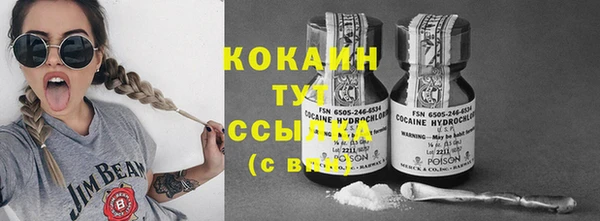 индика Алексеевка