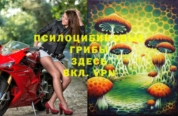 индика Алексеевка