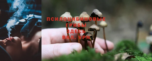 mdma Нефтегорск