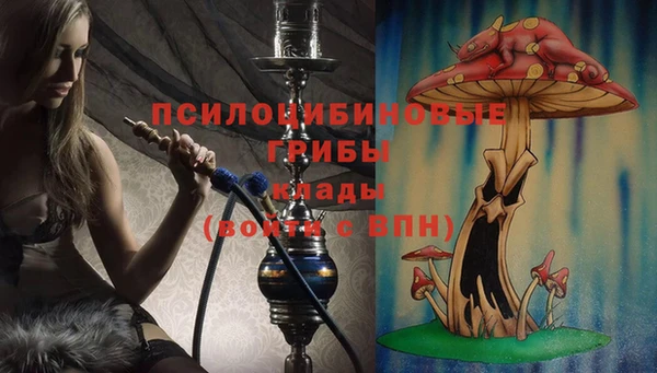 дурь Алзамай