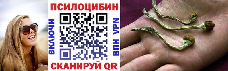 цены Стародуб Псилоцибиновые грибы GOLDEN TEACHER